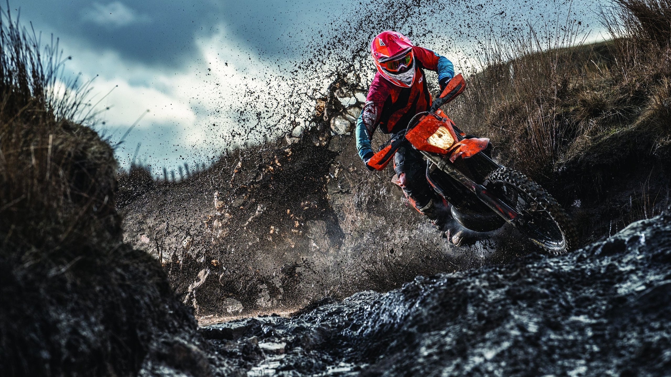 国家级体育人才培养机制改革建议，我国体育人才的培养模式